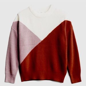 ✨NWT✨ Sophie Rue Karmiti Diagonal
Colorblock Sweater